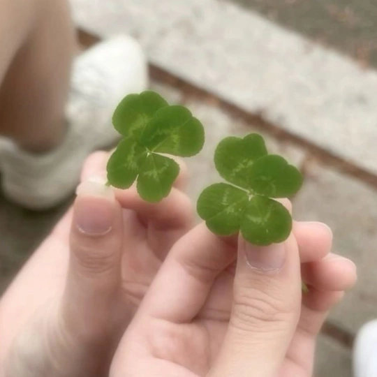 luckysedra🍀