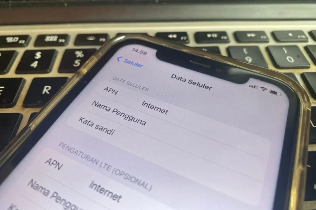 Bagaimana Cara Mengecek Apakah APN Sudah Berfungsi?