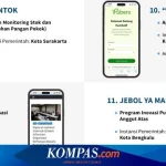 Berbagai Aplikasi Pemerintah yang Menawarkan Pendapatan Sampingan