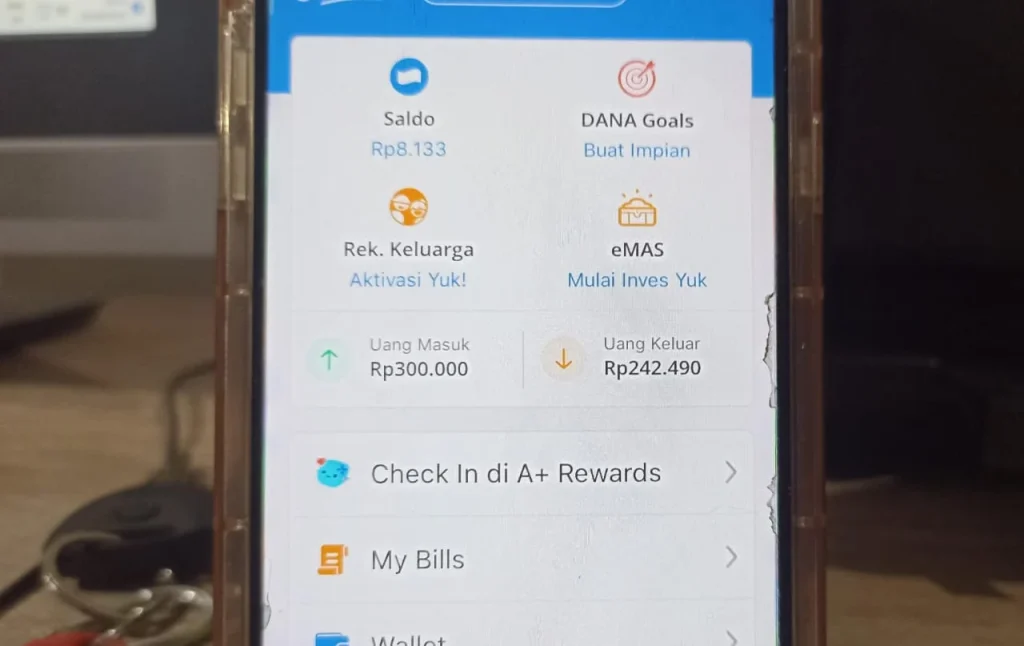 Cara cek saldo DANA setelah pakai Rich APK secara detail