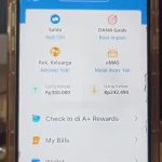 Cara cek saldo DANA setelah pakai Rich APK secara detail