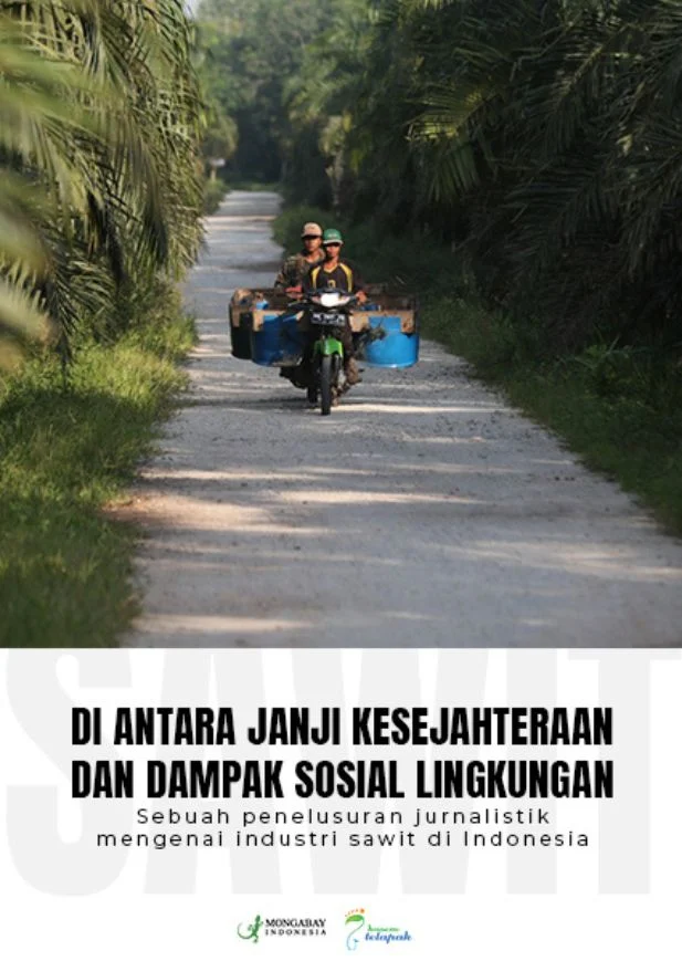 Dampak Terhadap Komunitas dan Industri