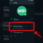 Kelebihan dan Kekurangan Penggunaan Username di WhatsApp Beta: Apa yang Perlu Anda Tahu