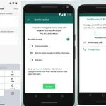 Panduan lengkap mengganti username di WhatsApp beta