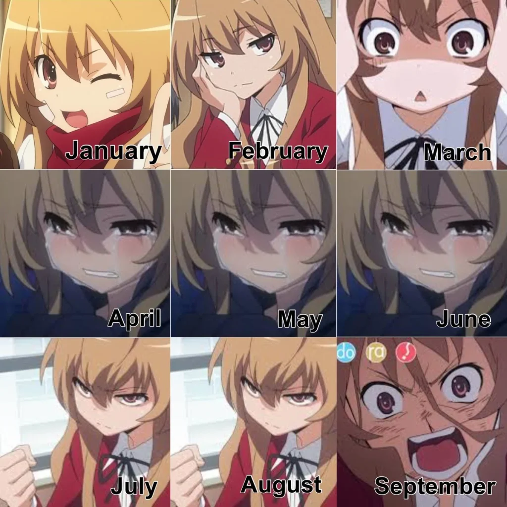 Perbandingan Karakter Anime Tsundere yang Lucu: Taiga vs. Rin
