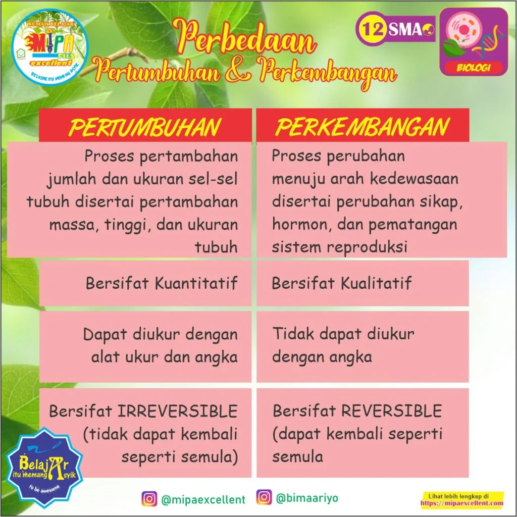 Perbandingan: Pertumbuhan Perlahan vs. Overpowered dalam Isekai