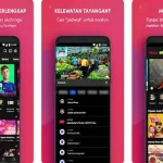 Review Aplikasi Nonton Film Gratis dengan Kualitas HD: Apa Saja Pilihannya?