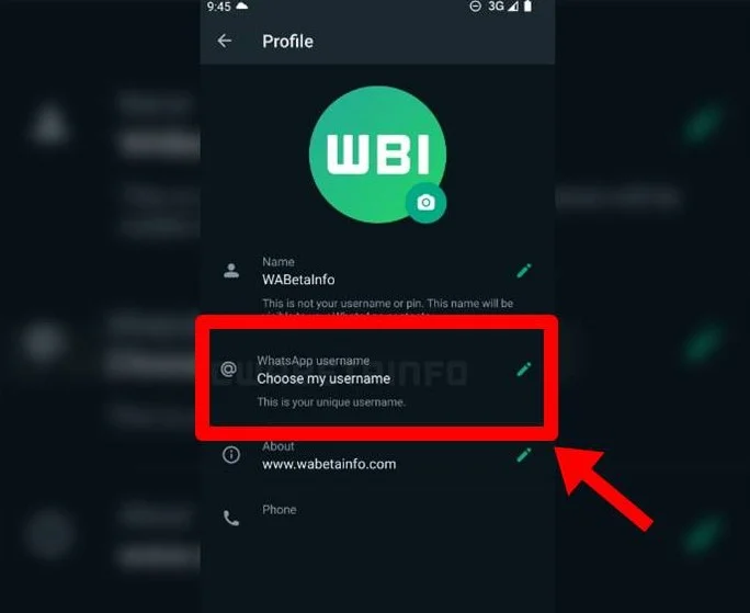 Tips Memaksimalkan Username di WhatsApp Beta